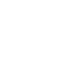 icon - globe