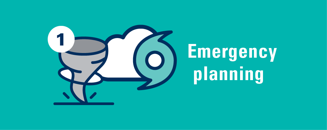emergency planning